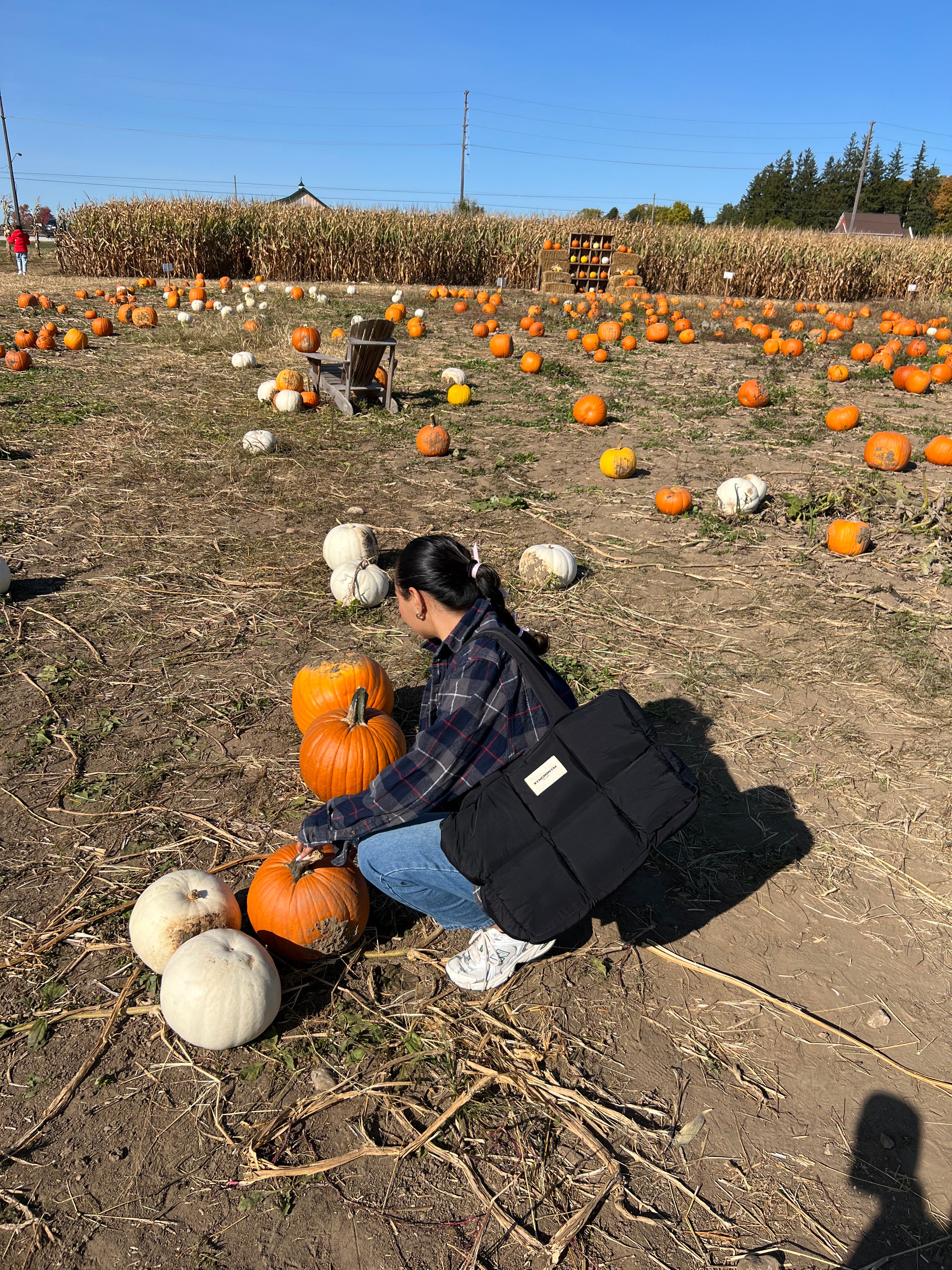 Midnight Power Puff: Everyday Black Puffer Tote bag